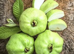 Saakshatv healthtips Guava