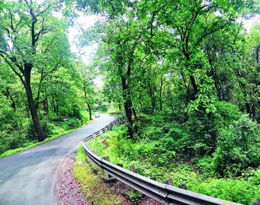 Kavala Caves Dandeli