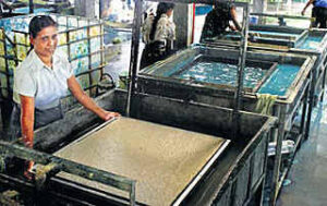 elephant poop paper saakshatv