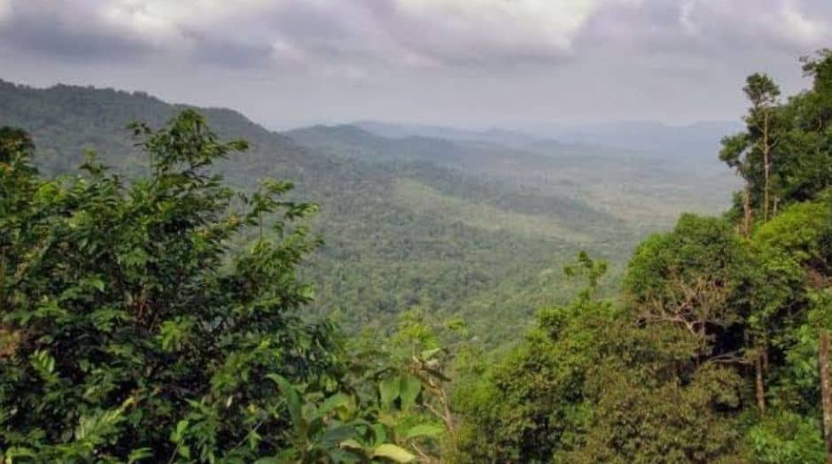 Chief Ministers Saaksha TV 