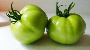 Green tomatoes saakshatv