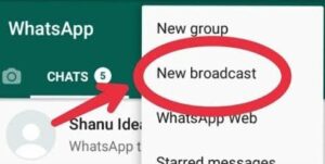 WhatsApp messages 256 people