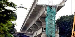 Bangalore trees felled