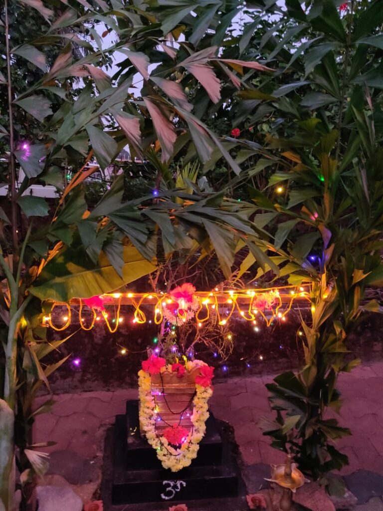 tulasi pooja