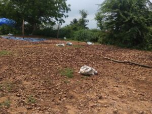 sanekere Chitradurga