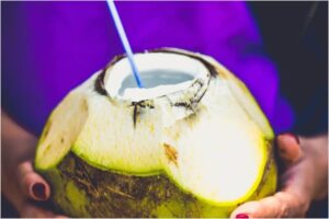 Bali fees in coconuts