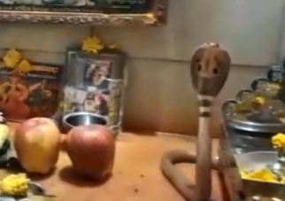 snake shyam