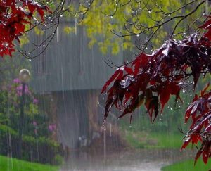 Aaruva deepakke bembalada belaku 2