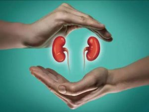 repay loan selling kidney