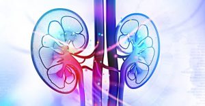 Saakshatv healthtips Kidneys Harm