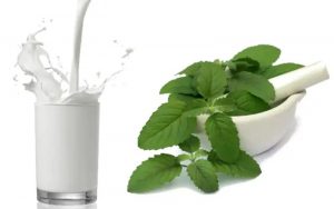 Basil milk