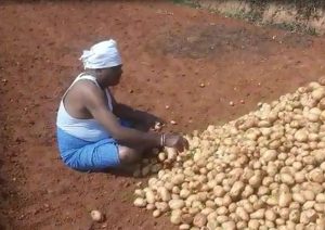 farmer