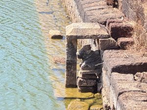 Saakshatv Naavu kelada charitre episode11
