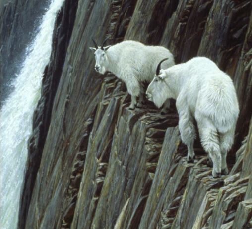 Saakshatv vishwa vismaya episode6 