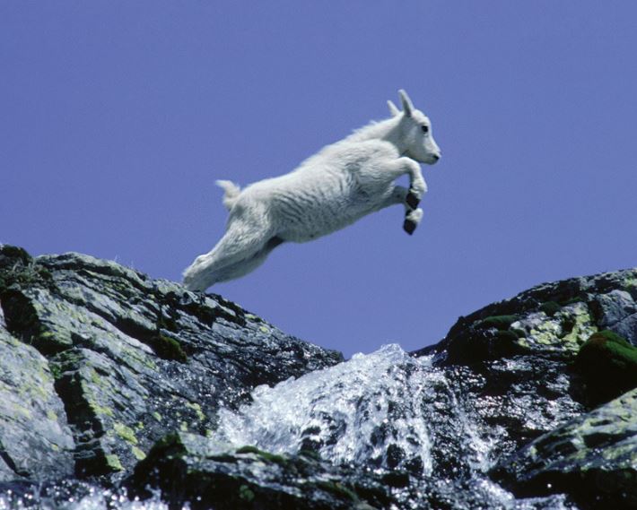 Saakshatv vishwa vismaya episode6 