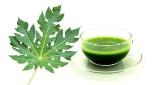 Saakshatv healthtips Papaya Leaves