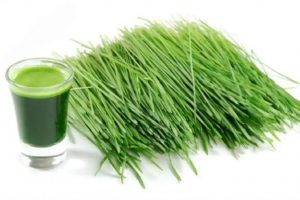 Saakshatv healthtips Bermuda grass