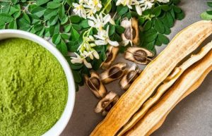Saakshatv healthtips Moringa benefits
