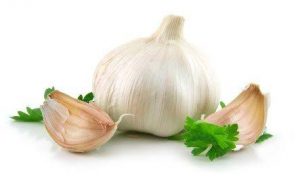 Saakshatv healthtips garlic water