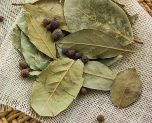 Saakshatv healthtips Bay Leaf 