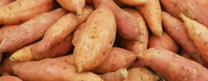 Saakshatv healthtips Sweet potato health benefits