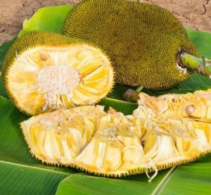 Saakshatv healthtips Jackfruit 