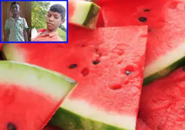 watermelon hydrabad