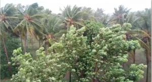 karnataka saaksha tv