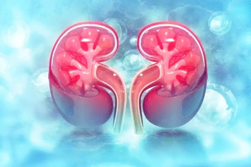 kidney disease