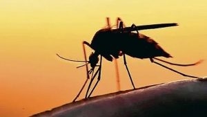 Kerala zika viral