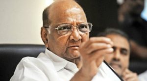 sharad-pawar-says-not-president-race-amid-opposition-moves saaksha tv