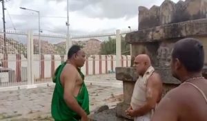 Marjala manthana Aanegondi navabrundavana