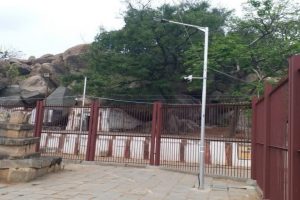 Marjala manthana Aanegondi navabrundavana