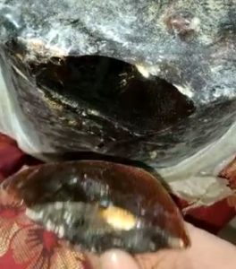 ccb police bangalore saaksha tv