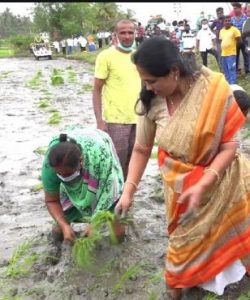 Shobha Karandlaje saaksha tv