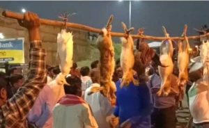 villagers hunted and auctioned wild animals in Nelamangala saaksha tv