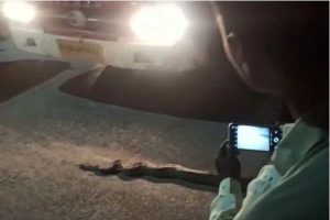 Python Saaksha Tv