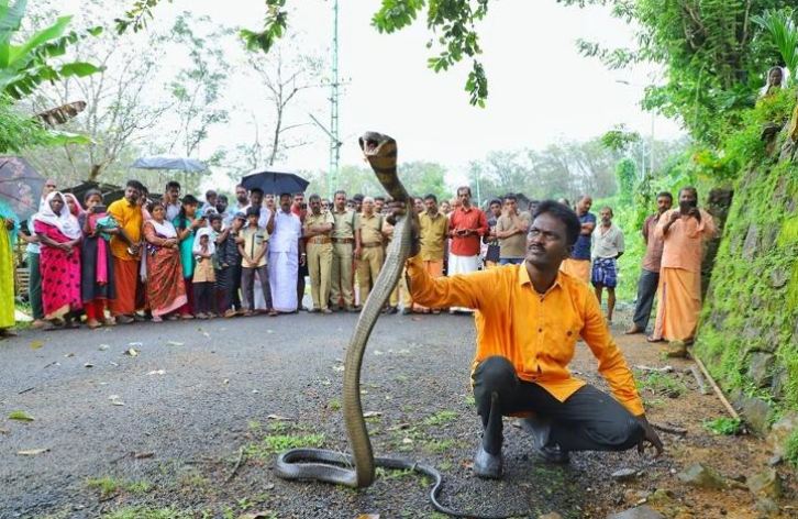 vava suresh - snake byte - saakshatv