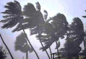 Cyclone Asani To Form Next Week saaksha tv