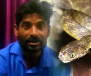 MORE THAN 500 TIMES SNAKE BITE A MAN IN LATUR saaksha tv