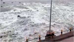 Heavy Rain Release of water from Basavasagar to Krishna saaksha tv