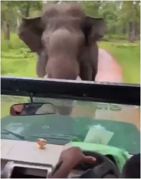 Chamarajanagar elephant attack saaksha tv