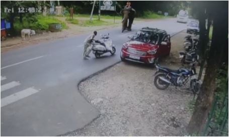 The elephant tried to attack the mahout again saaksha tv