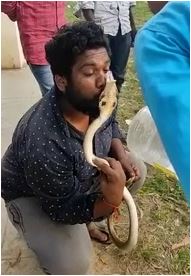 Snake bite 