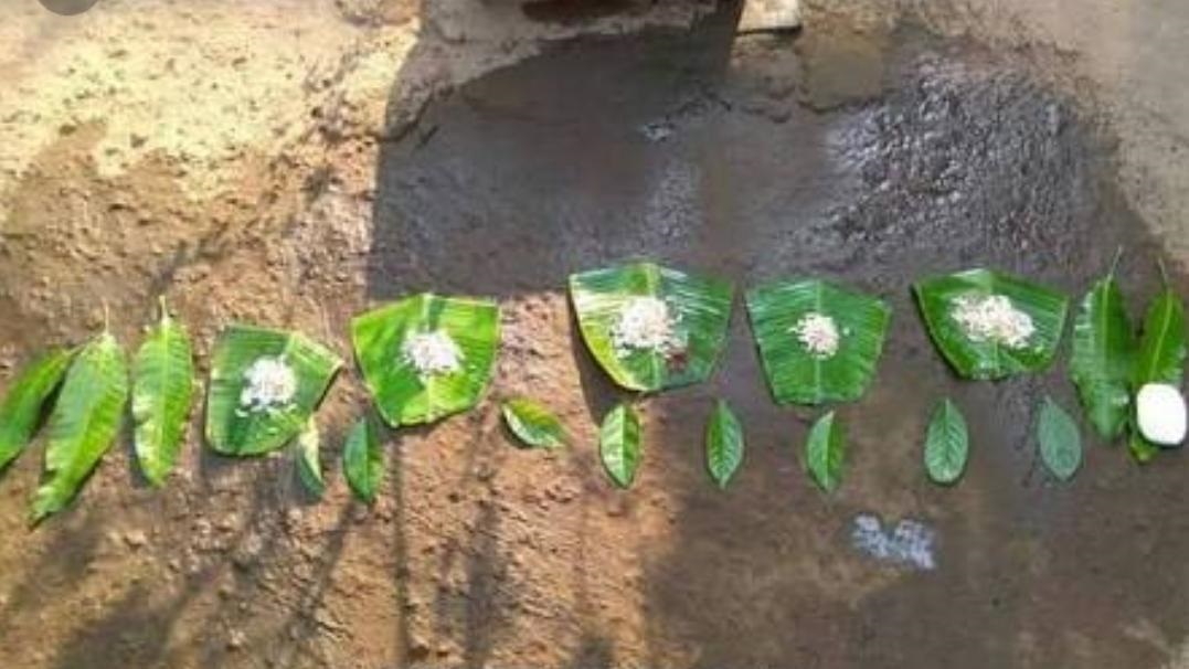 ಪ್ರಕೃತಿ ಆರಾಧಕ ತುಳುವರ ವಿಶೇಷ ಹಬ್ಬ – ಕೆಡ್ಡಸ…