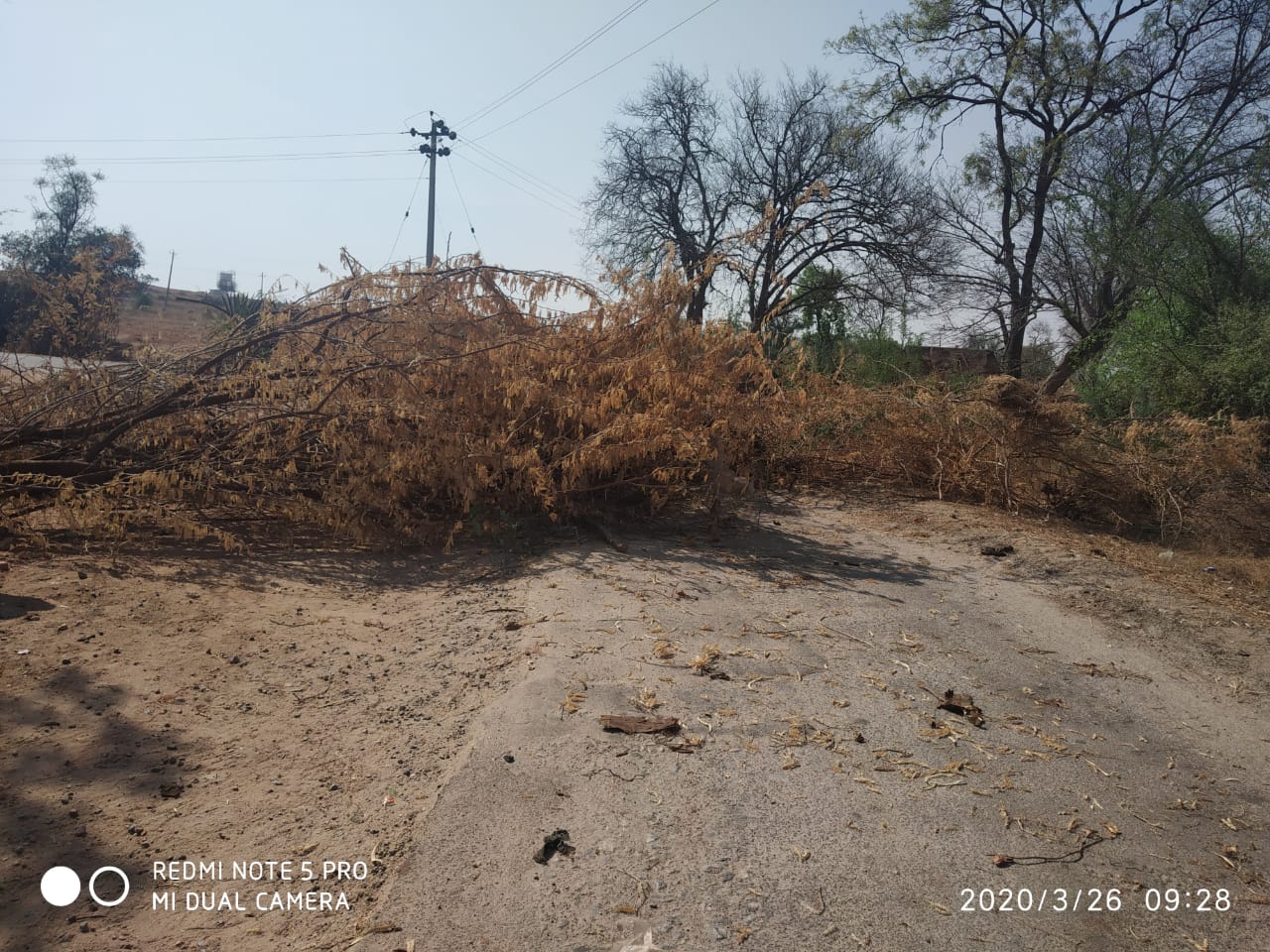 ನಮ್ಮೂರಿಗೆ ಕೊರೊನಾ ಹರಡಿಸಬೇಡಿ: ಸಿದ್ದಾಪುರ ಗ್ರಾಮಸ್ಥರ ಮನವಿ!