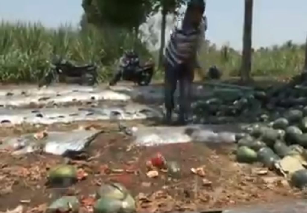 ಕೊರೊನಾ ಎಪೆಕ್ಟ್: 10 ಲಕ್ಷ ಕಲ್ಲಂಗಡಿ ನಾಶ ಮಾಡಿದ ರೈತ…