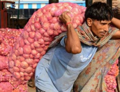 ಈರುಳ್ಳಿ ರೋಗದ ಭೀತಿಯಿಂದ ಬೆಳೆದ ಬೆಳೆ ನಾಶ ಮಾಡಿ, ನೋವು ಹೊರಹಾಕಿದ ರೈತ