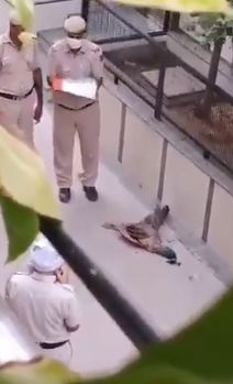 ರಾಷ್ಟ್ರೀಯ ಪಕ್ಷಿಗೆ ಸಾವಿನಲ್ಲೂ ಸಲ್ಲುತ್ತೆ ರಾಷ್ಟ್ರೀಯ ಗೌರವ