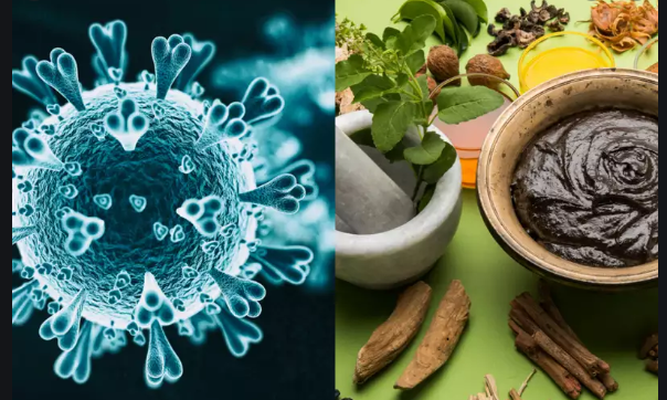 ಶಿವಮೊಗ್ಗದಲ್ಲಿ ಮನೆ ಮನೆಗೂ ಆಯುರ್ವೇದ ಕಿಟ್ : ಕೆ.ಎಸ್. ಈಶ್ವರಪ್ಪ